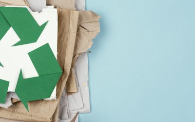 Sementes do Eco-Íris: pequenos gestos que transformam 🌱