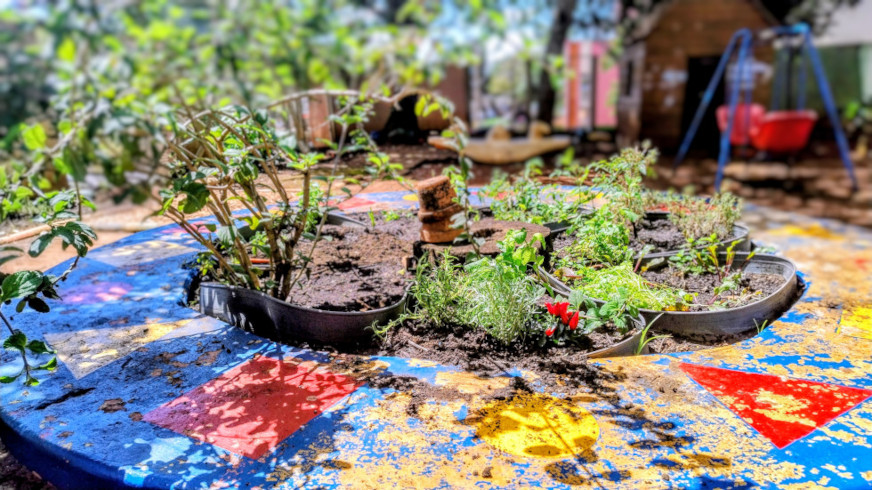Encerramento do Projeto “Sementes do Eco-Íris” com o plantio de árvores